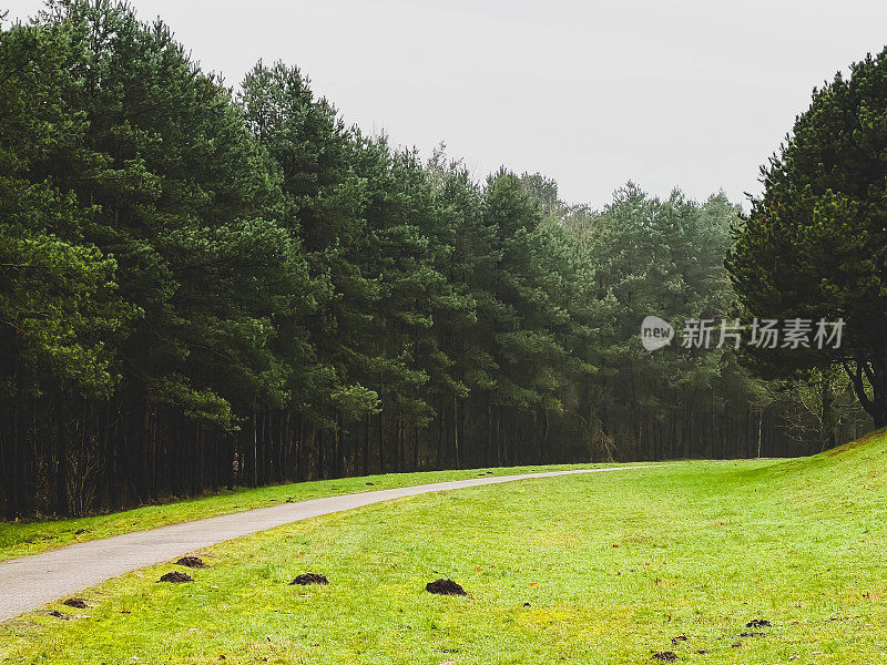 在冬天的雨天，在森林和草地旁边的一条小路。