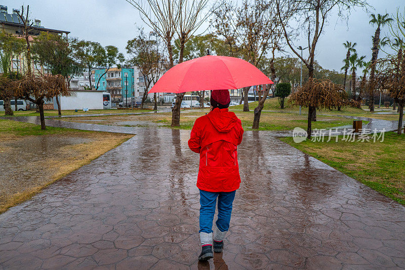 一个女人在雨天打着红伞走在公园里。肖像