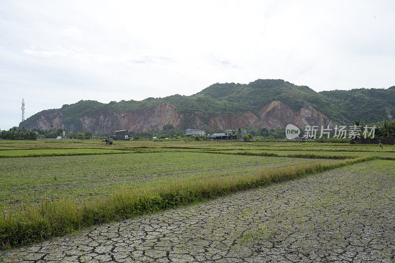 地面龟裂干燥