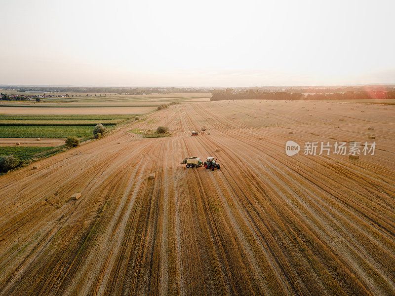 鸟瞰图，拖拉机载着干草堆，在有茬的田里行驶，许多长条形的干草堆躺在田里，夕阳西下
