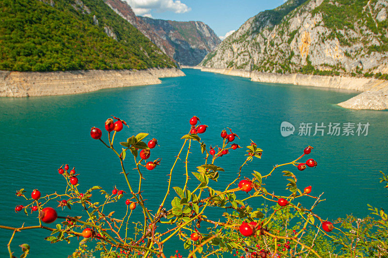 皮瓦河峡谷的田园风光。黑山的杜米特国家公园，巴尔干半岛，