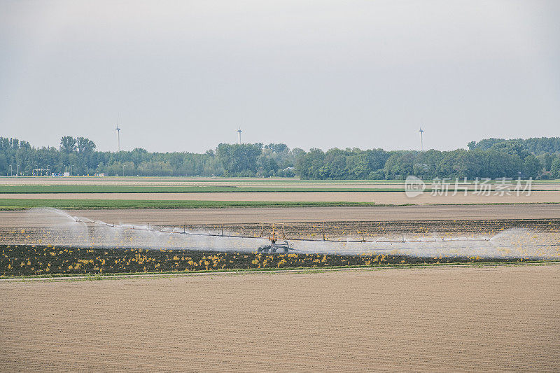 在一个干燥而温暖的春日，灌溉旋转喷枪在农田上喷水。