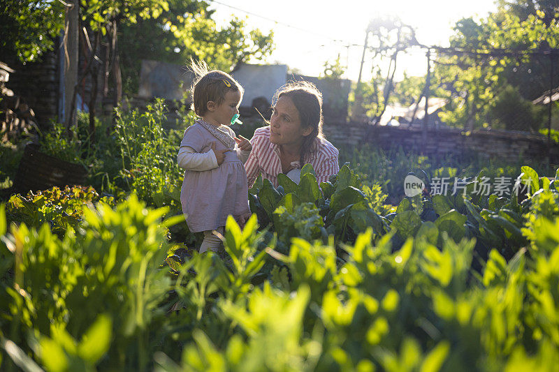 母亲和婴儿一起在夕阳下园艺。
