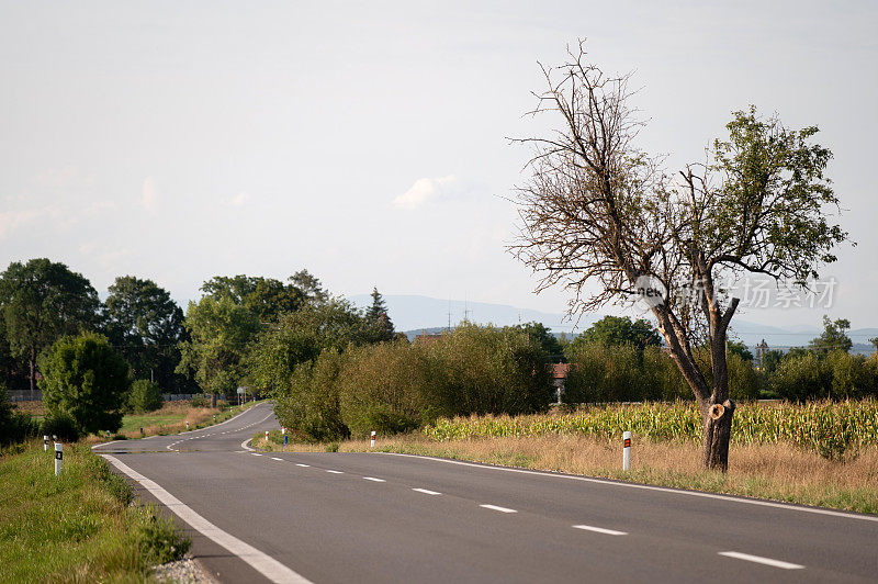 空无一人的道路