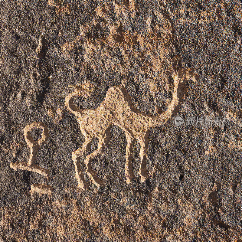 骆驼岩艺术