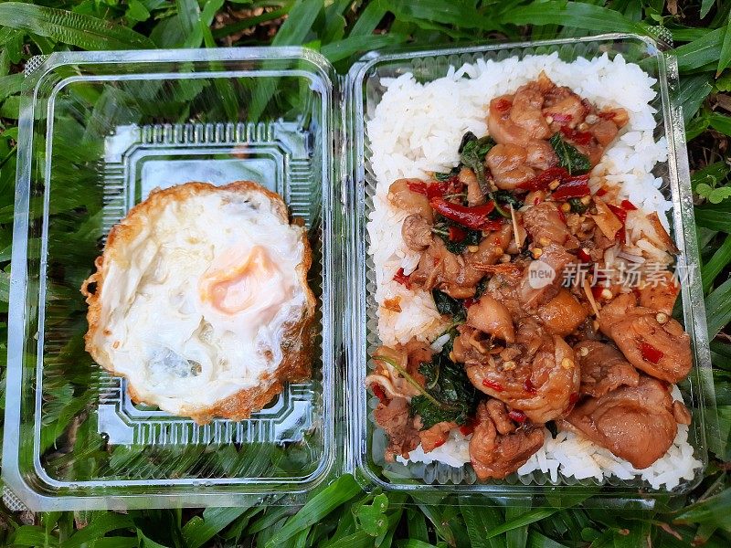 辣味泰国罗勒鸡和煎蛋饭-曼谷街头小吃。