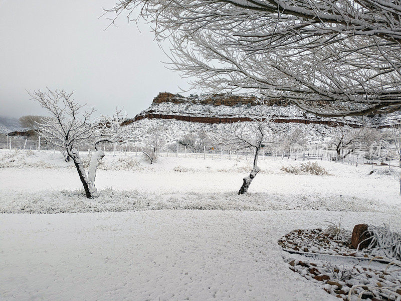 在犹他州洛克维尔的格拉夫顿路上，冬天被雪覆盖的牧场，背景是锡安国家公园