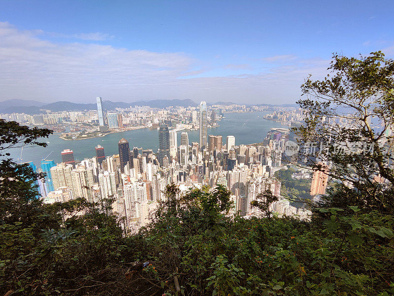 太平山顶的香港市容