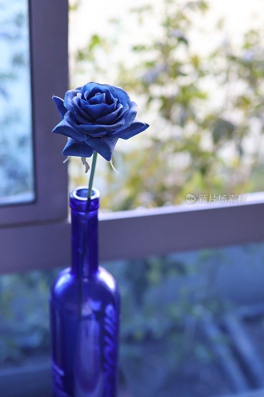 蓝色玻璃瓶里的蓝色玫瑰