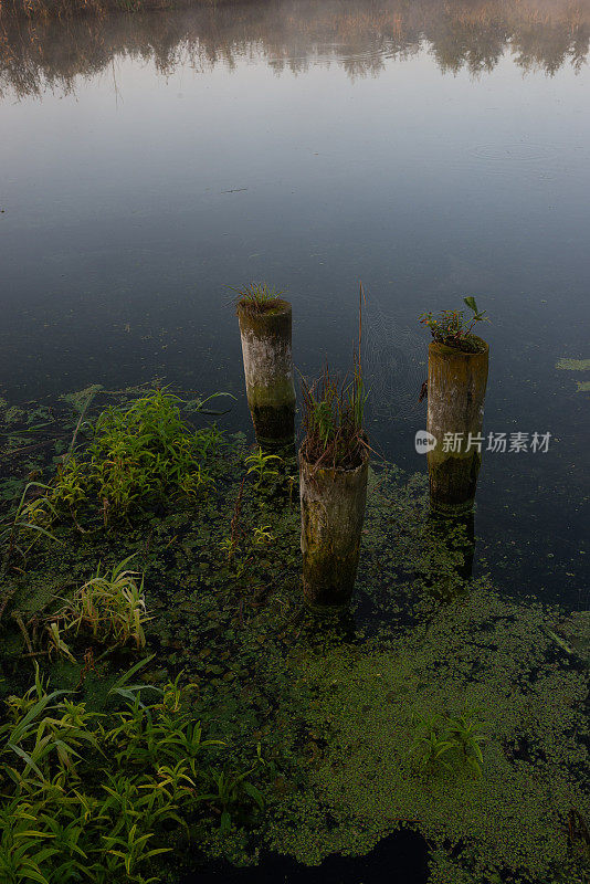 黎明时分，皮内河上一座木制防波堤的遗迹