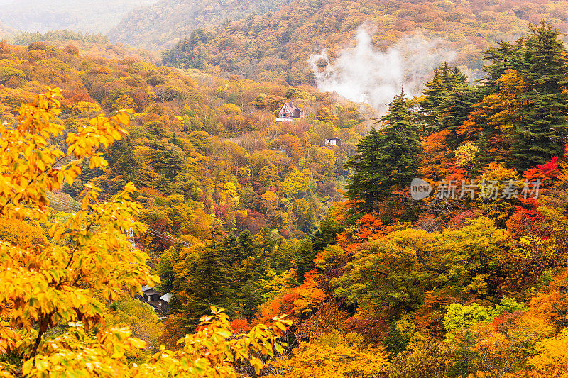 日本北部秋季山区的地热蒸汽喷涌