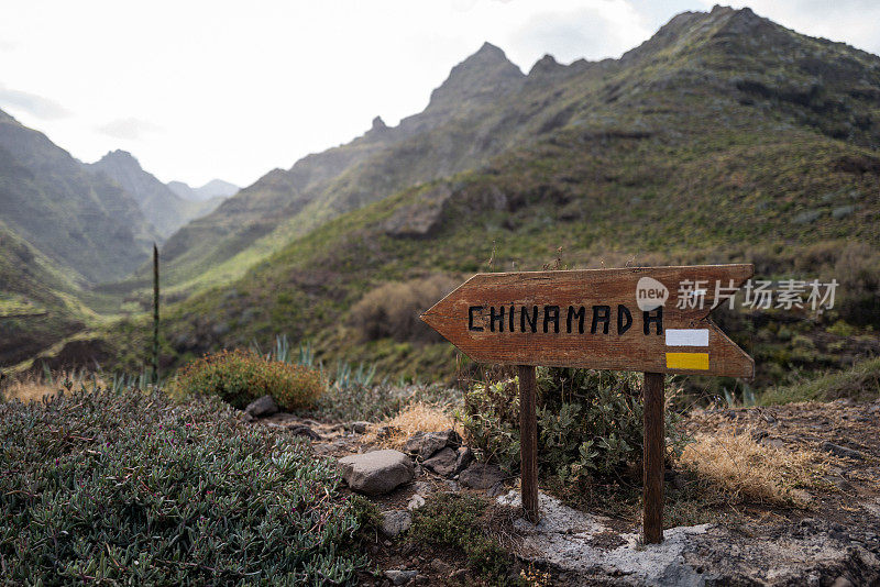 在加那利群岛特内里费岛的沿海生态系统徒步旅行