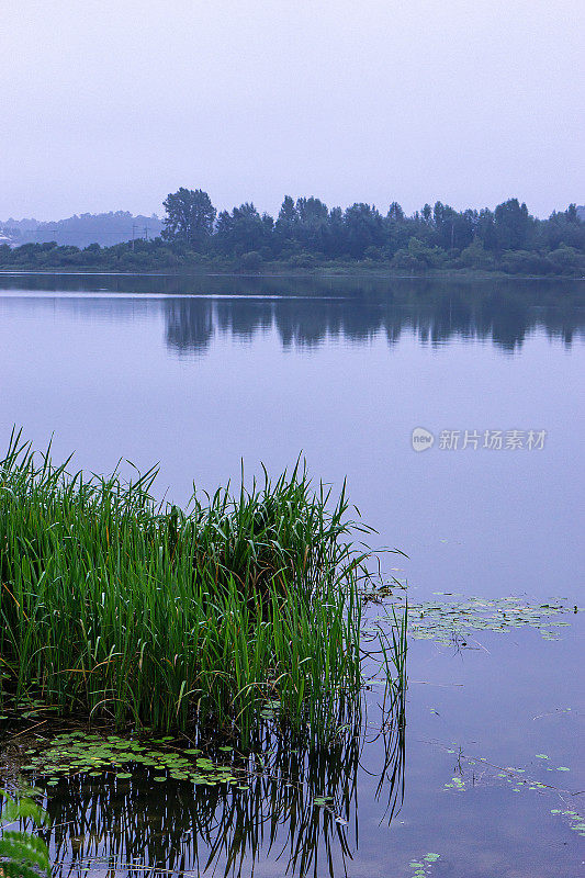 河边的风景