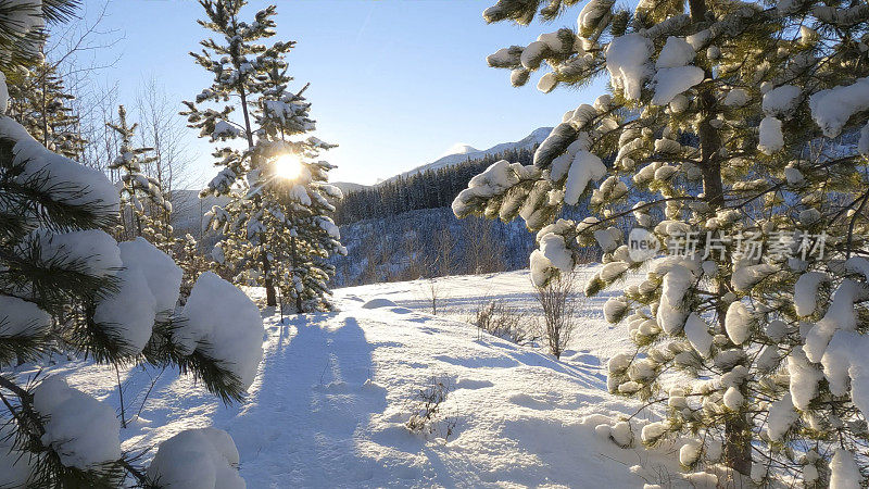 雪景的冬季景观