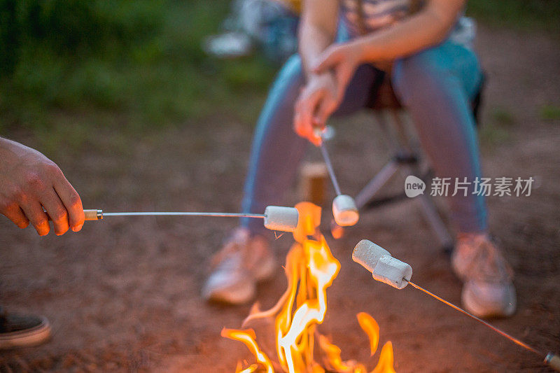 在篝火上烤棉花糖，朋友们在户外共度时光