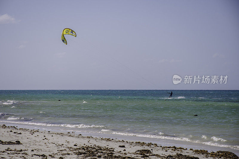 冲浪板