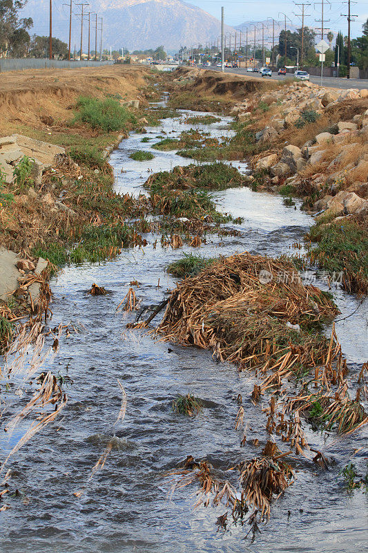 淤塞防洪水道