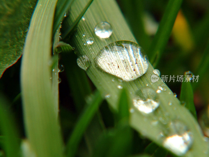 雨滴的