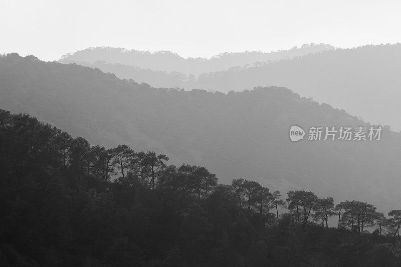 Troodos塞浦路斯山塞浦路斯大雾清晨