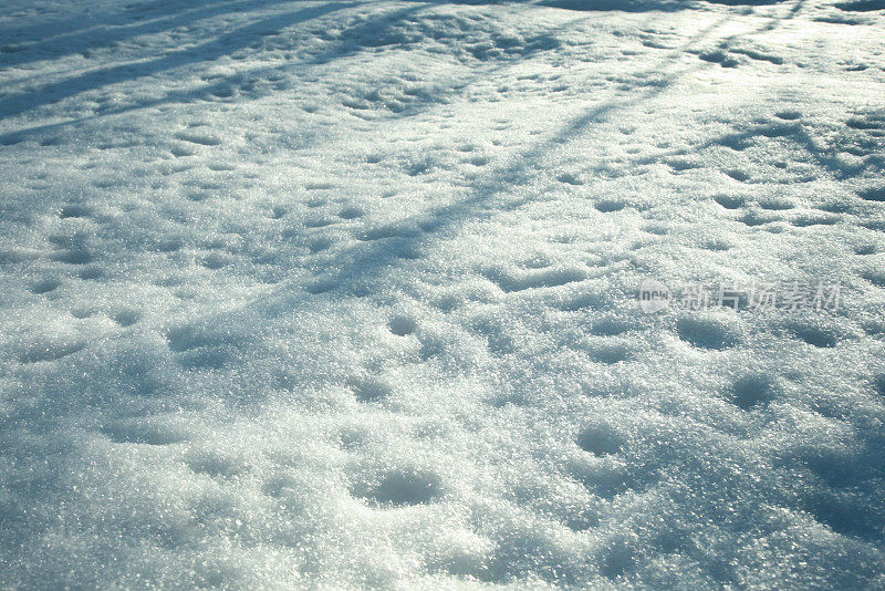 刚下的雪