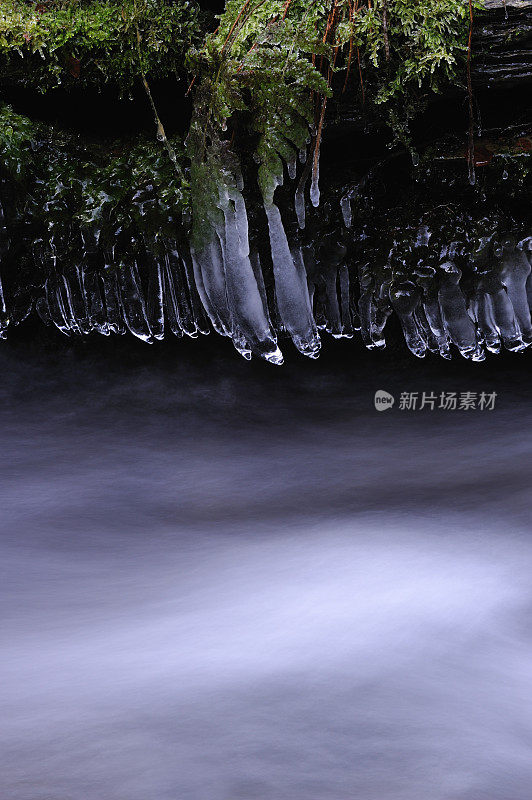 冰柱、苔藓和水