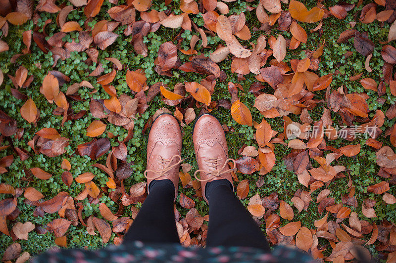 棕色的叶子在我的脚下