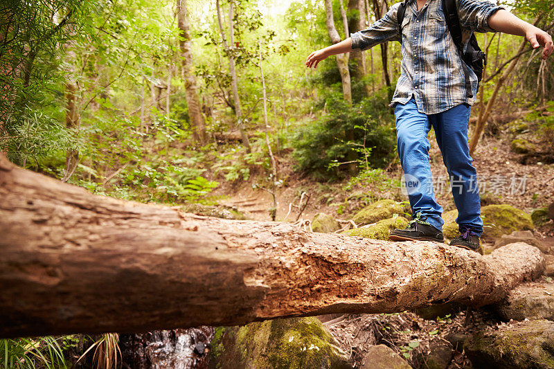 在森林里，男孩在倒下的树上平衡着穿过小溪