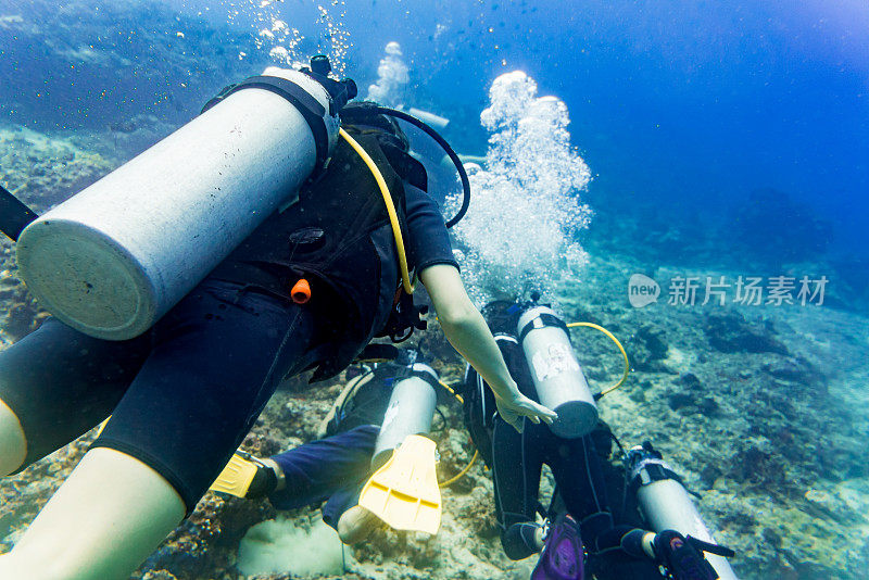 两名潜水员在热带海域的暗礁处潜水