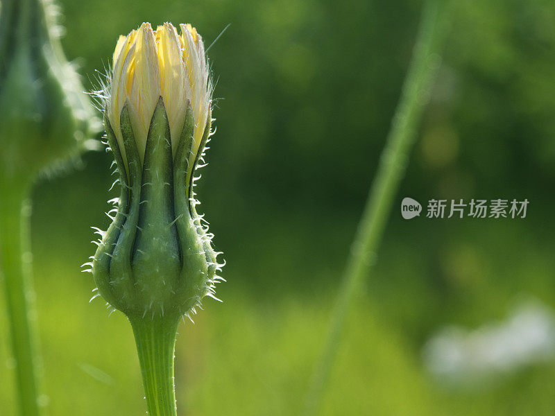 春季健康，宏观细节