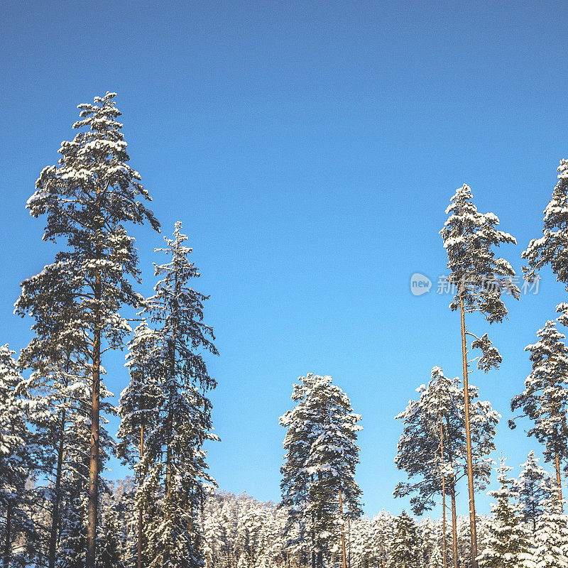 北欧的冬天的风景。