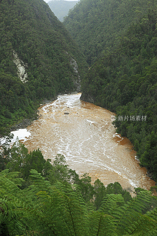 塔斯马尼亚的野王河和峡谷