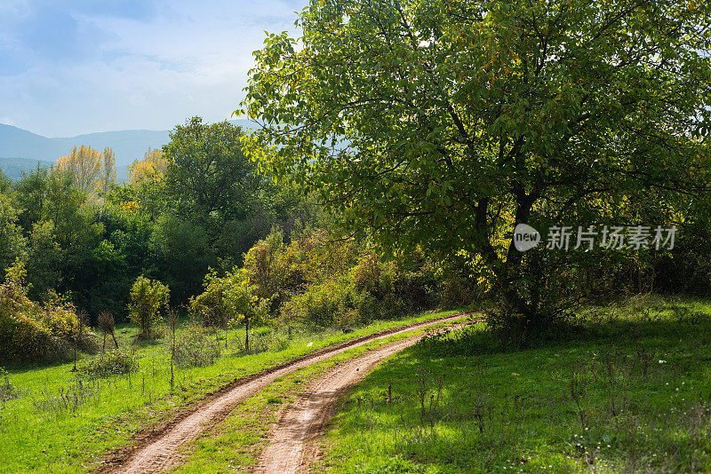 乡间小路