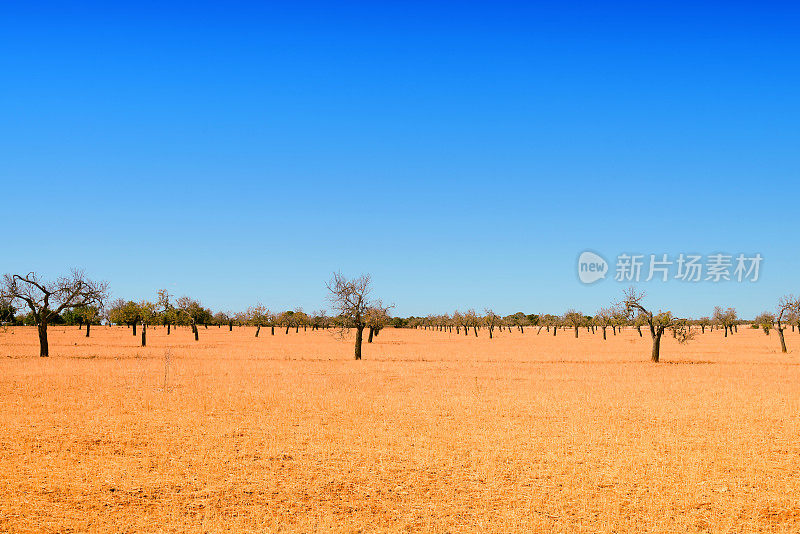 马略卡风景