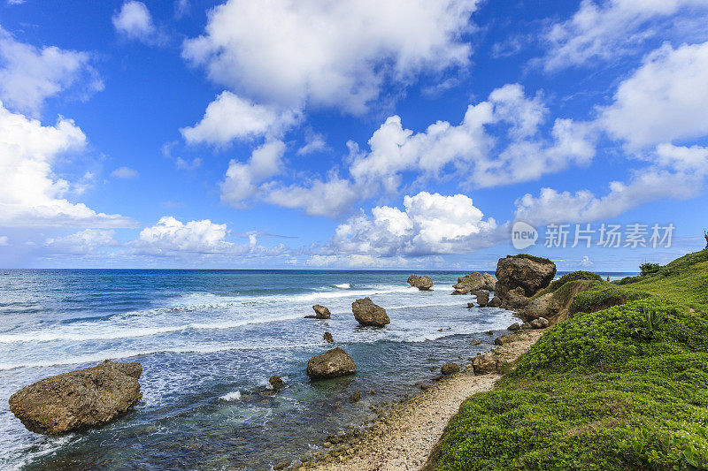 芭丝谢芭,巴巴多斯