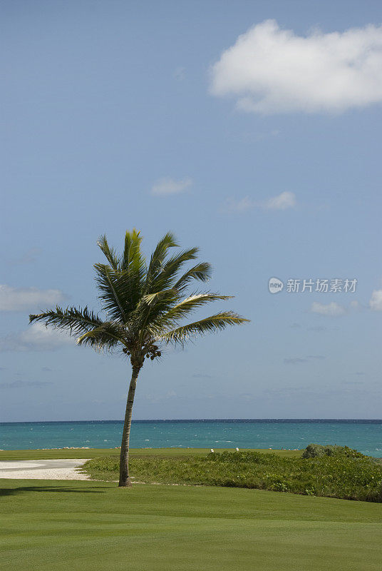热带高尔夫球场，蓬塔卡纳，多米尼加共和国