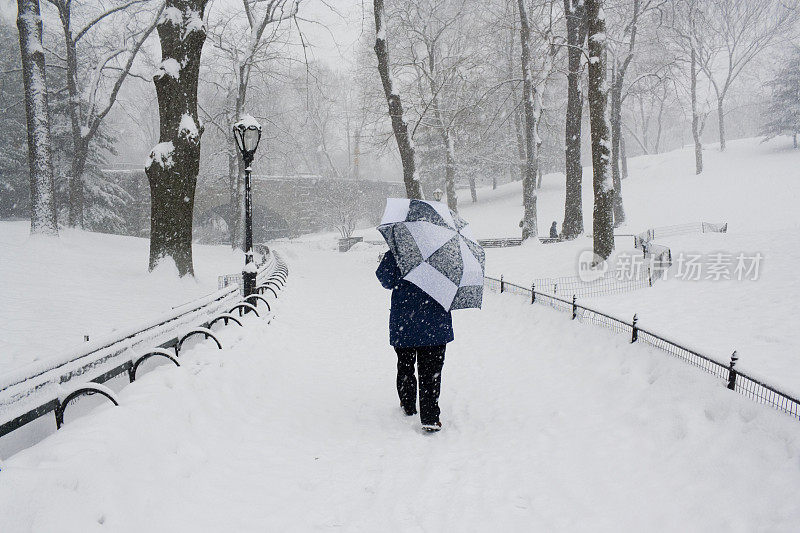 中央公园的暴风雪