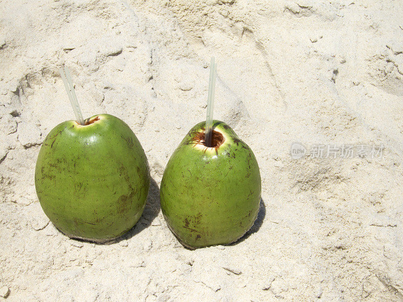 两个新鲜的绿色椰子可可Gelado在沙巴西海滩