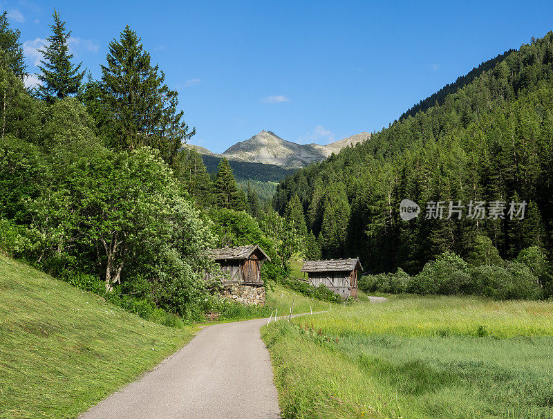 阿尔卑斯山的乡间小路