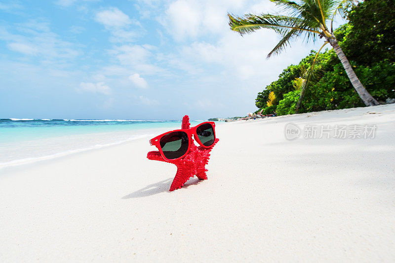 红海星戴着墨镜站在热带海滩上