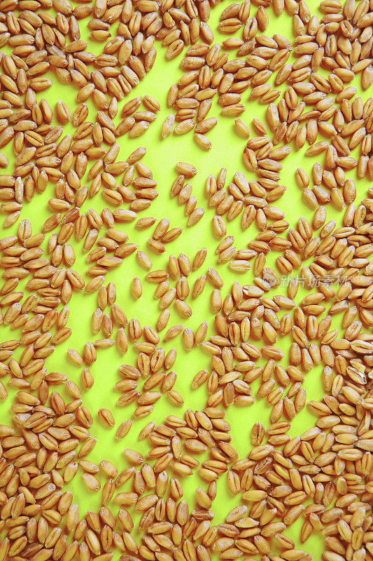 绿色背景下的小麦。