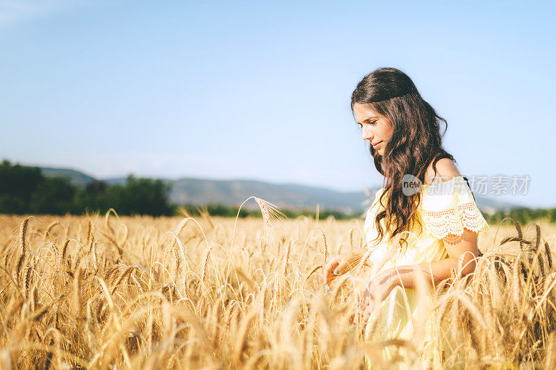 美丽的年轻女子在金黄的麦田里