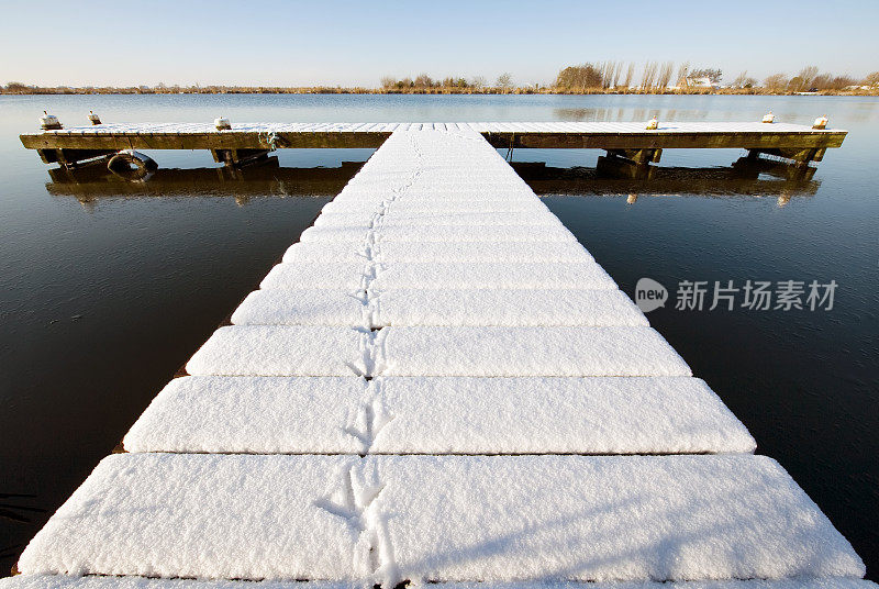 码头上雪地上的鸟脚印