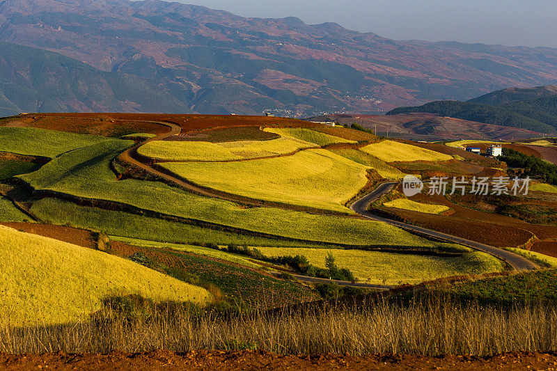 昆明附近的东川红土。Wumeng山区。中国