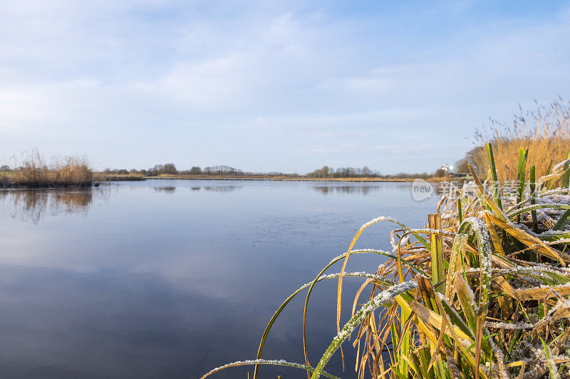 冬天的早晨，在IJsseldelta地区附近的坎彭