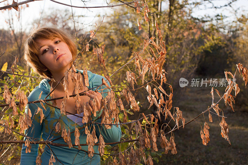 《少妇》和《美丽的黄秋