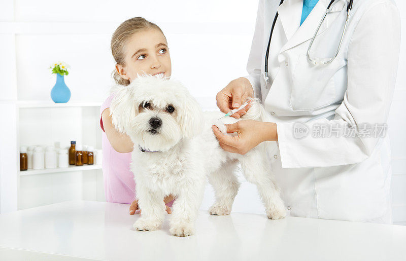 女兽医给小女孩的狗注射疫苗