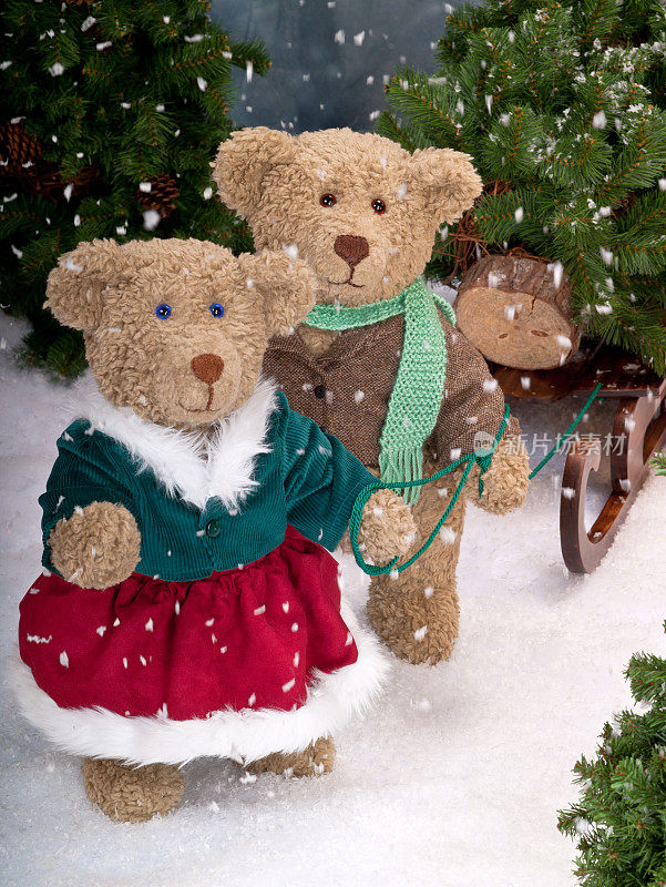 泰迪熊拉着有圣诞树的雪橇