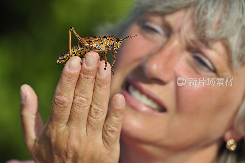 佛罗里达的一个女人有蚱蜢，昆虫