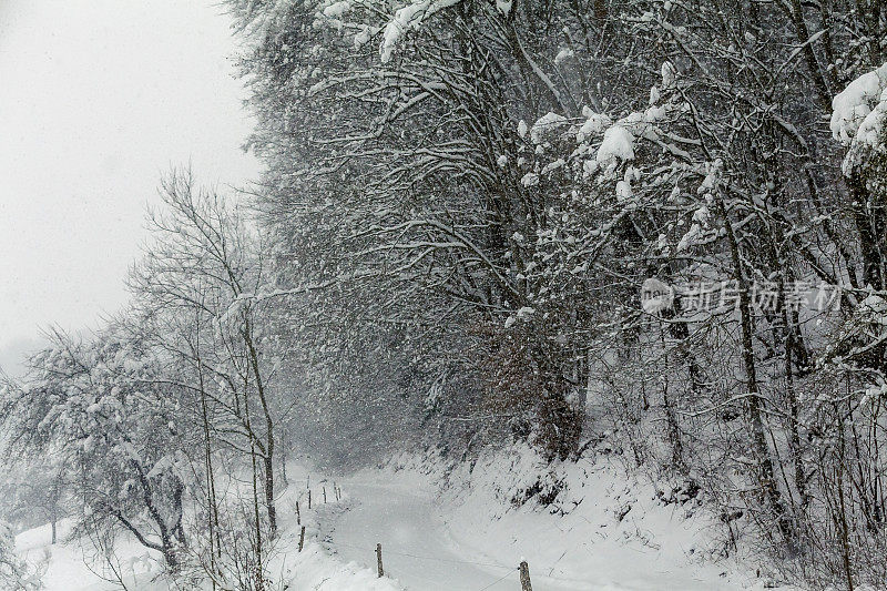 冬天的路下着雪