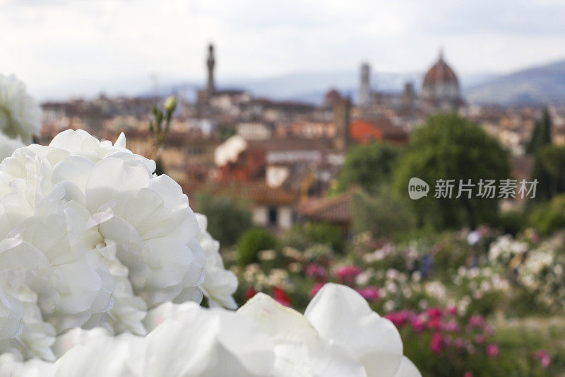 佛罗伦萨全景，托斯卡纳的浪漫假期